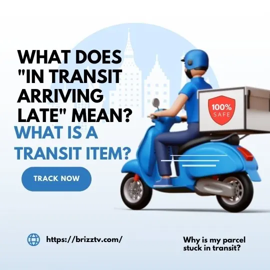 What does "in transit arriving late" mean?