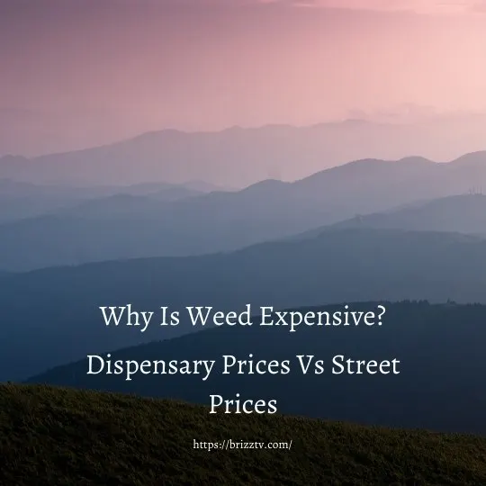 Why Is Weed Expensive?
